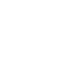 Customer-First Approach